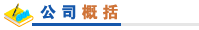 公司概括
